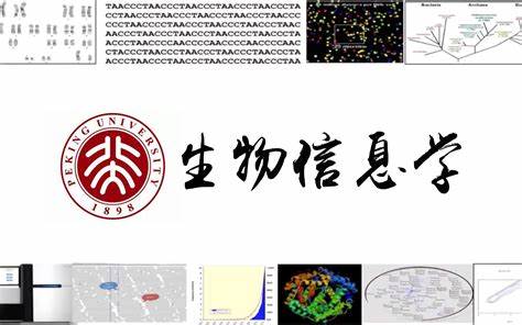 北京大学生物信息学慕课